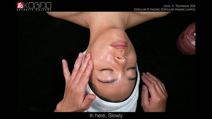 Technique 203: Circular-8 Hagane (Circular Hagane-Linryu)